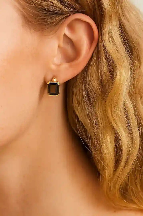 Elegant Brown Emerald-Cut Earrings