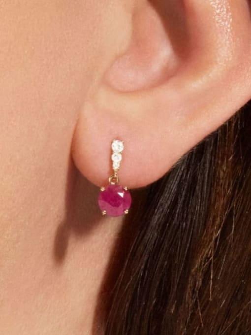 Rose Radiance Drop Earrings - Wearluxe Jewelry